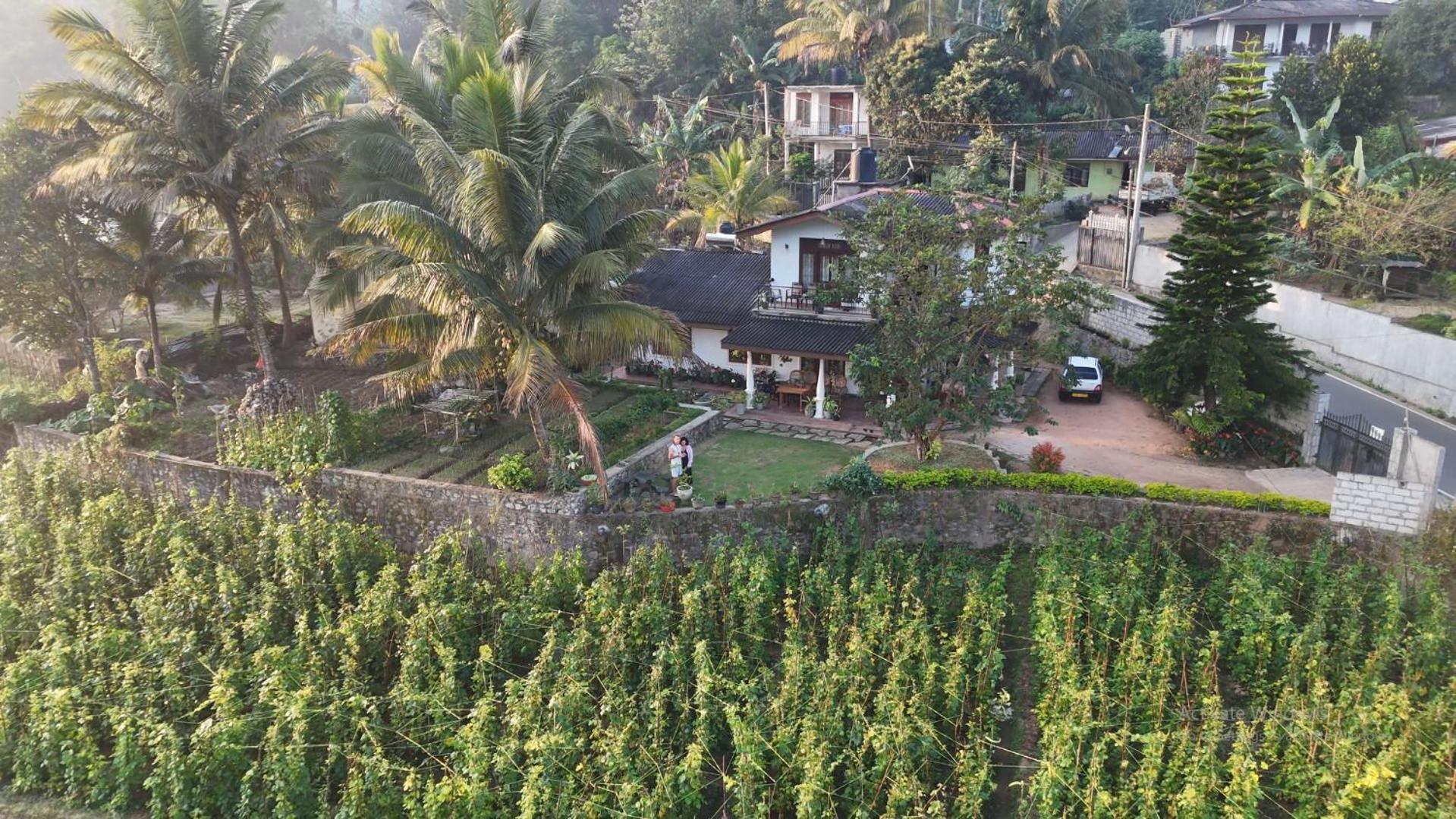 Ella Nature Valley Homestay المظهر الخارجي الصورة