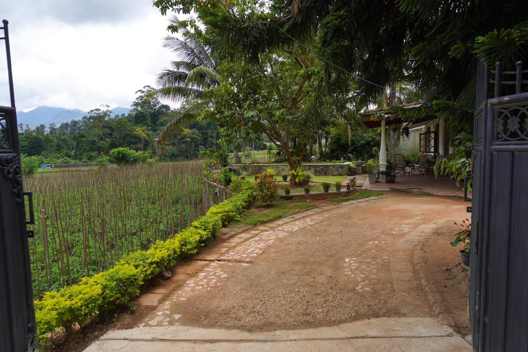 Ella Nature Valley Homestay المظهر الخارجي الصورة