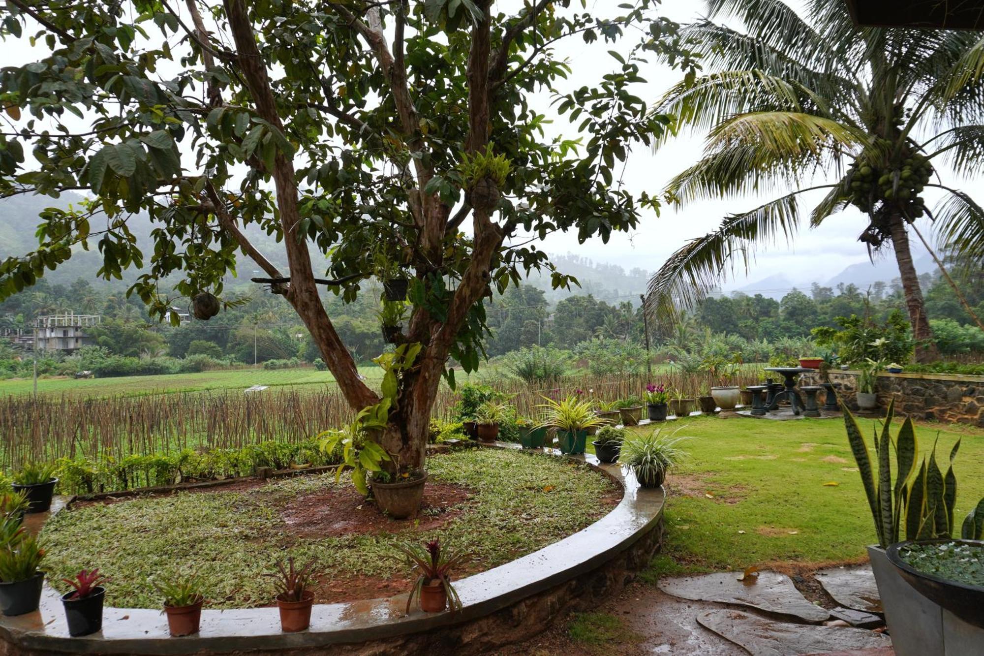 Ella Nature Valley Homestay المظهر الخارجي الصورة