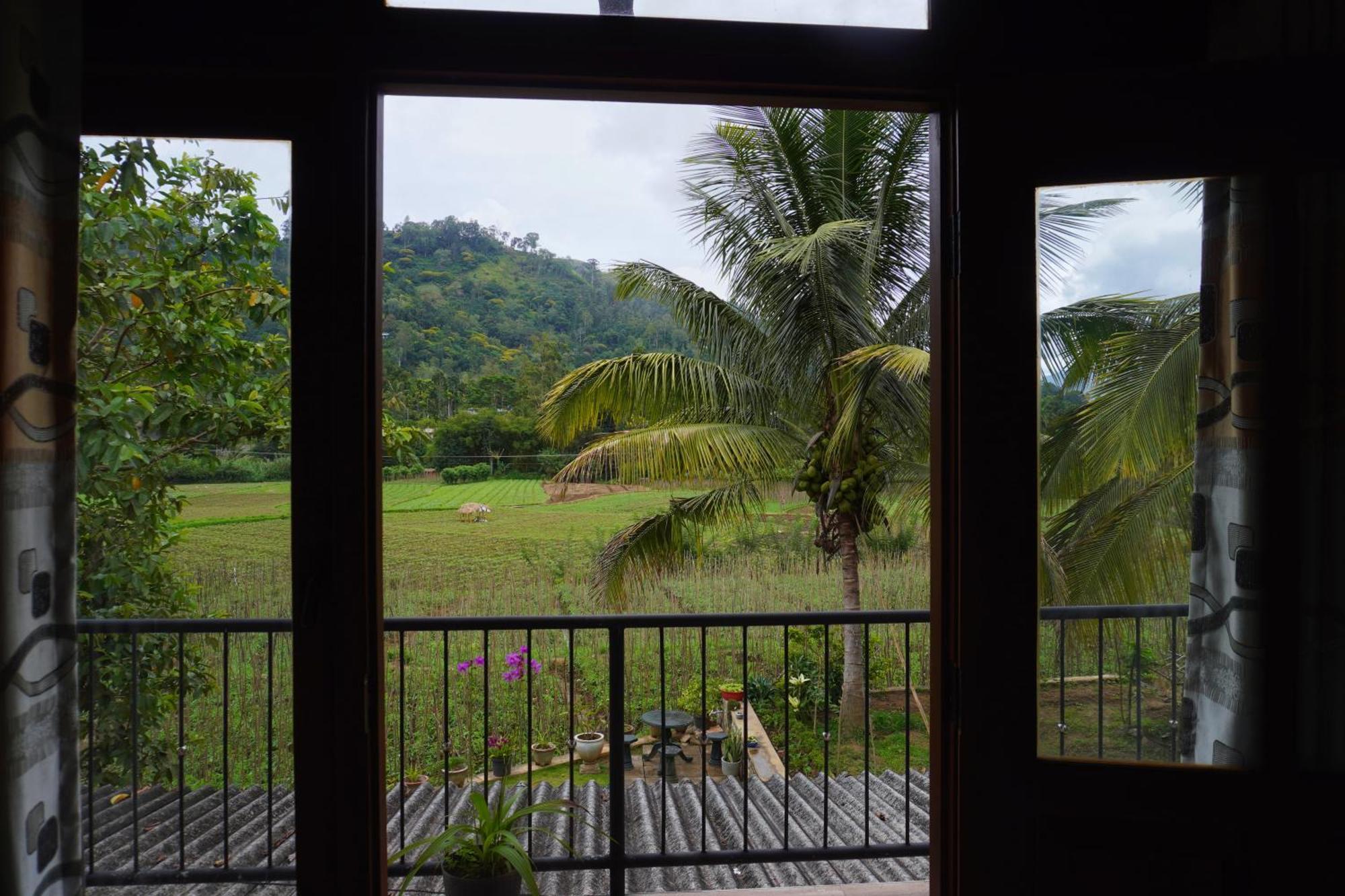 Ella Nature Valley Homestay المظهر الخارجي الصورة