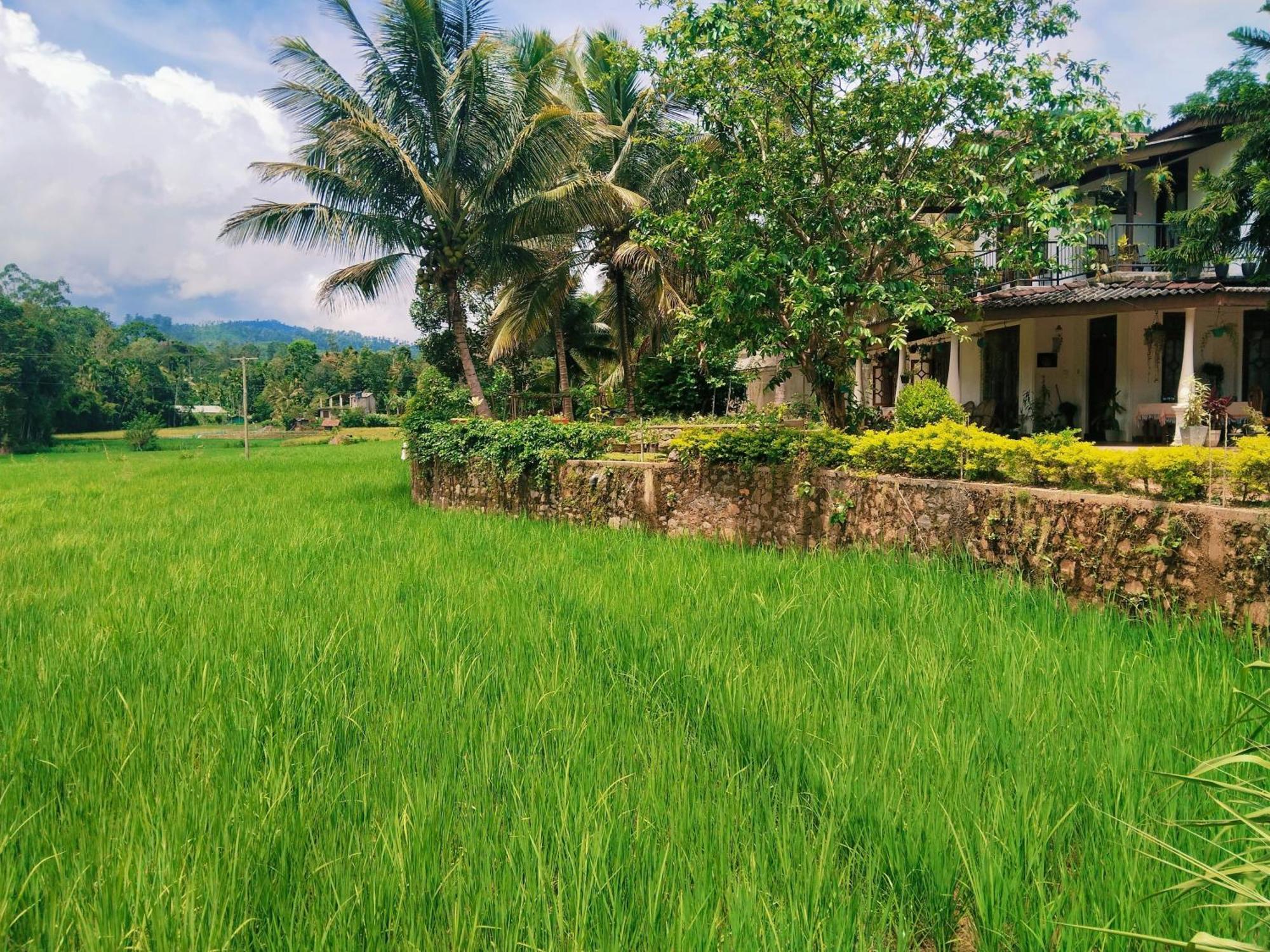 Ella Nature Valley Homestay المظهر الخارجي الصورة