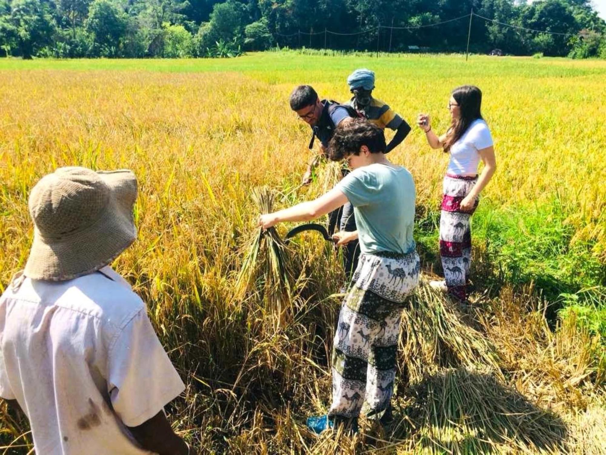 Ella Nature Valley Homestay المظهر الخارجي الصورة