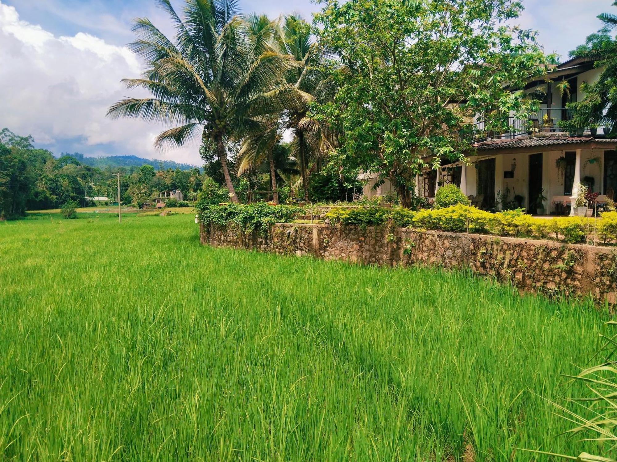 Ella Nature Valley Homestay المظهر الخارجي الصورة